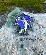 Load image into Gallery viewer, Flying Ribbit Choose Your Own Variant