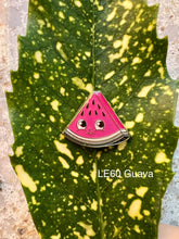 Load image into Gallery viewer, Watermelon Pie Full Set