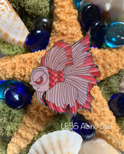 Load image into Gallery viewer, “Betty” the Betta Fish Full Set