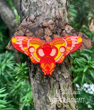 Load image into Gallery viewer, Fuzzy Moth Full Set