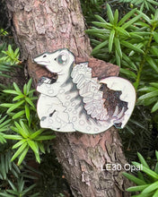 Load image into Gallery viewer, Baby Stegosaurus Full Set