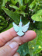 Load image into Gallery viewer, Colibrí Choose Your Own Variant
