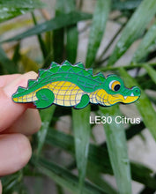 Load image into Gallery viewer, 2 PACK Chubby Croc Blind Bag
